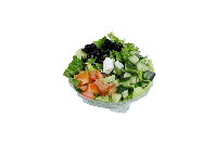 [FP-SW-1000313] GREEK SALAD