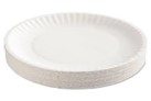 PAPER PLATES (9)