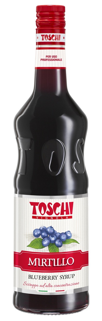 BLUEBERRY SYRUP (P53) 6X1 LTR